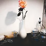 Casa Azzurra 公寓 莱诺
